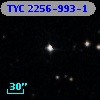 TYC 2256-993-1
