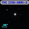 TYC 2256-1095-1