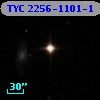 TYC 2256-1101-1