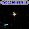 TYC 2256-1288-1