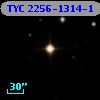TYC 2256-1314-1