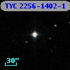 TYC 2256-1402-1