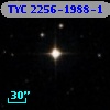TYC 2256-1988-1