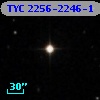 TYC 2256-2246-1