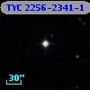 TYC 2256-2341-1