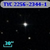 TYC 2256-2344-1