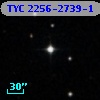 TYC 2256-2739-1