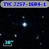TYC 2257-1604-1