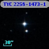 TYC 2258-1473-1