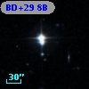 BD+29     8B