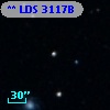 ** LDS  3117B