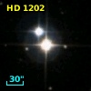 HD   1202