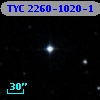 TYC 2260-1020-1