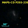 MAPS-CD P293-239452
