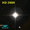HD   2909