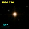 NSV   170