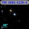 TYC 3191-1229-1