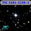 TYC 3191-1239-1
