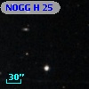 NOGG H   25
