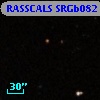 RASSCALS SRGb082