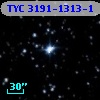 TYC 3191-1313-1