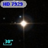 HD   7929