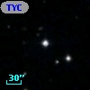 TYC 1754-1115-1