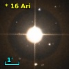 *  16 Ari