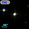 TYC 1769-335-1