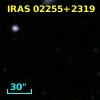 IRAS 02255+2319
