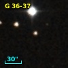 G  36-37
