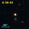 G  36-42