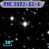 TYC 2172-12-1