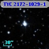 TYC 2172-1029-1