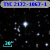 TYC 2172-1067-1