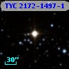 TYC 2172-1497-1