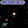 TYC 2173-31-1