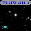 TYC 2173-1018-1