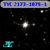 TYC 2173-1078-1