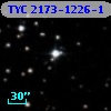 TYC 2173-1226-1