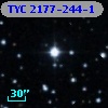 TYC 2177-244-1