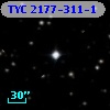 TYC 2177-311-1