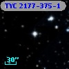 TYC 2177-375-1
