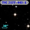 TYC 2177-443-1