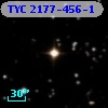 TYC 2177-456-1