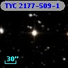 TYC 2177-509-1