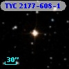 TYC 2177-608-1