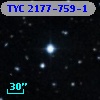 TYC 2177-759-1