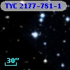 TYC 2177-781-1