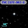 TYC 2177-982-1